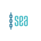 sea-custom-software-development