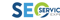 seo-services-expert-1