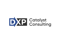 dxp-catalyst-consulting