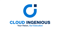 cloud-ingenious-salesforce-consulting-partner