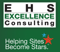 ehs-excellence-consulting