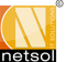 netsol-it-solutions