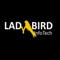 ladybird-infotech