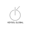 keysol-global-social-media-marketing-agency