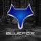 blue-fox-designs