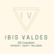 ibis-valdes-consulting