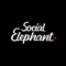 social-elephant