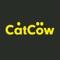 catcow-digital-studio