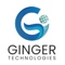 ginger-technologies