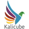 kalicube