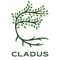 cladus-consultech-llp