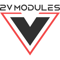 2v-modules