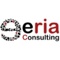 eria-consulting