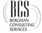 bergman-consulting-services