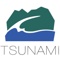tsunami-solutions