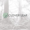 clover-leaf-solutions