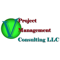 v-project-management-consulting