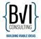 bvi-consulting