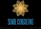 sunde-consulting-accounting