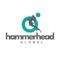 hammerhead-global