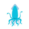 blue-squid