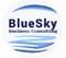 bluesky-business-consulting