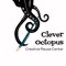 clever-octopus