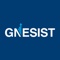 gnesist-accounting-firm