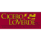 cicero-loverde-pc-certified-public-accountants