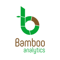 bamboo-analytics-sas