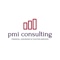 pmi-consulting