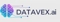 datavex-ai