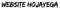 website-hojayega