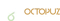 octopuz-project-managment