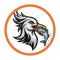 leadgulls-digital-marketing-agency