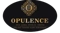 opulence-accounting-bookkeeping