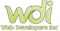 web-developer-sinc