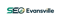 seo-evansville