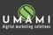 umami-digital-marketing-solutions