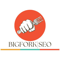 bigfork-seo