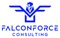 falconforce-consulting