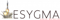 esygma-digital-marketing-company