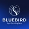 bluebird-technologies