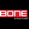 bone-structure