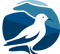 seagull-software-development