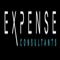 expense-consultants