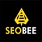 seobee-top-seo-services-agency-pakistan
