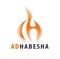 adhabesha-marketing-technology-solutions
