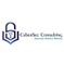 cybersec-consulting
