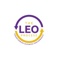 leo-process-business-consulting-firm